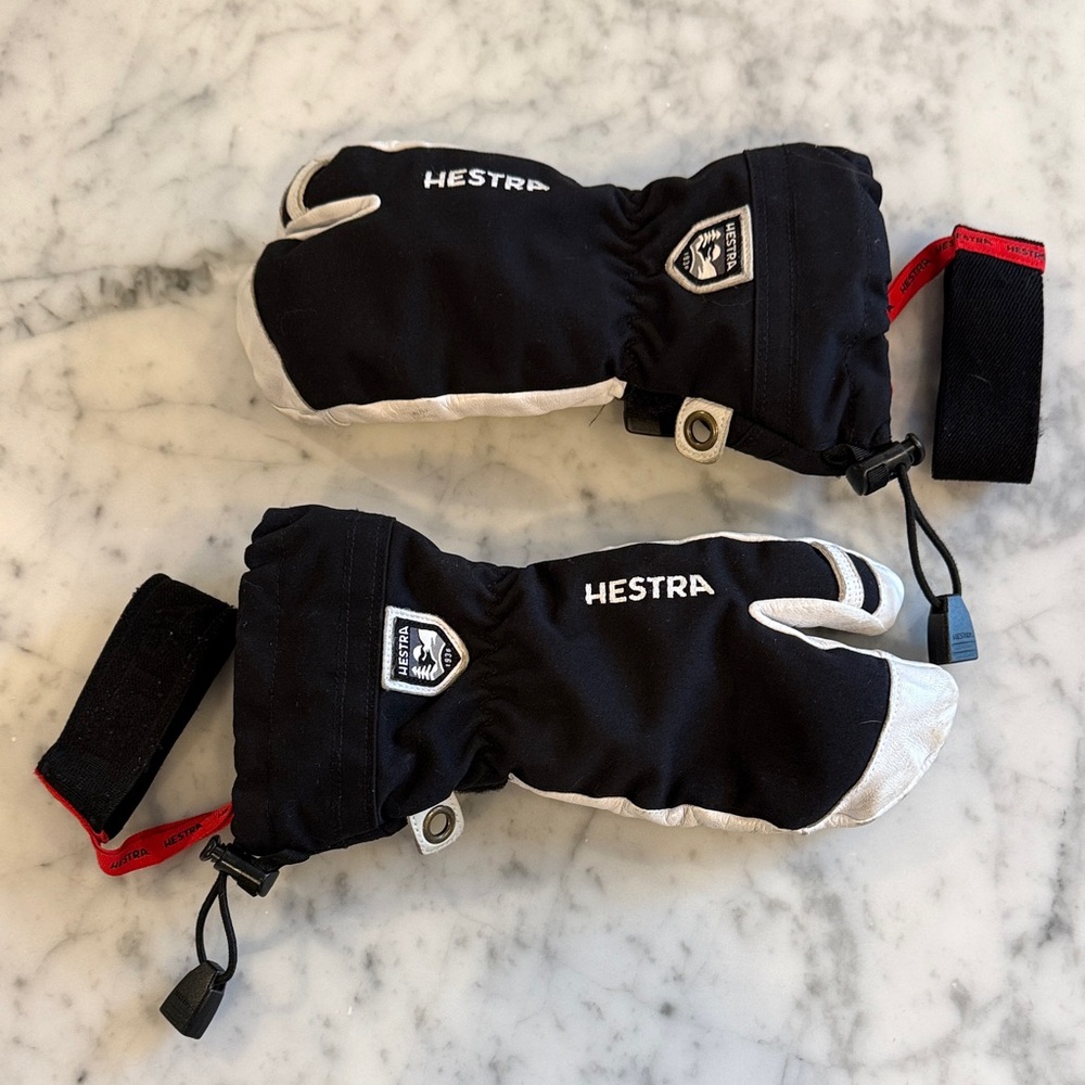 Hestra Black and White Insulated Ski Mittens
